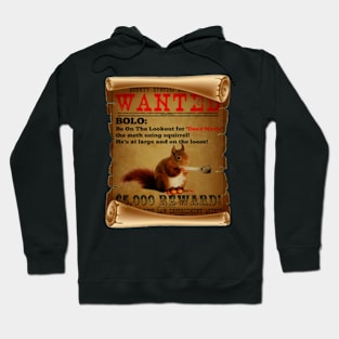 vintage wanted deez nuts poster 1 Hoodie